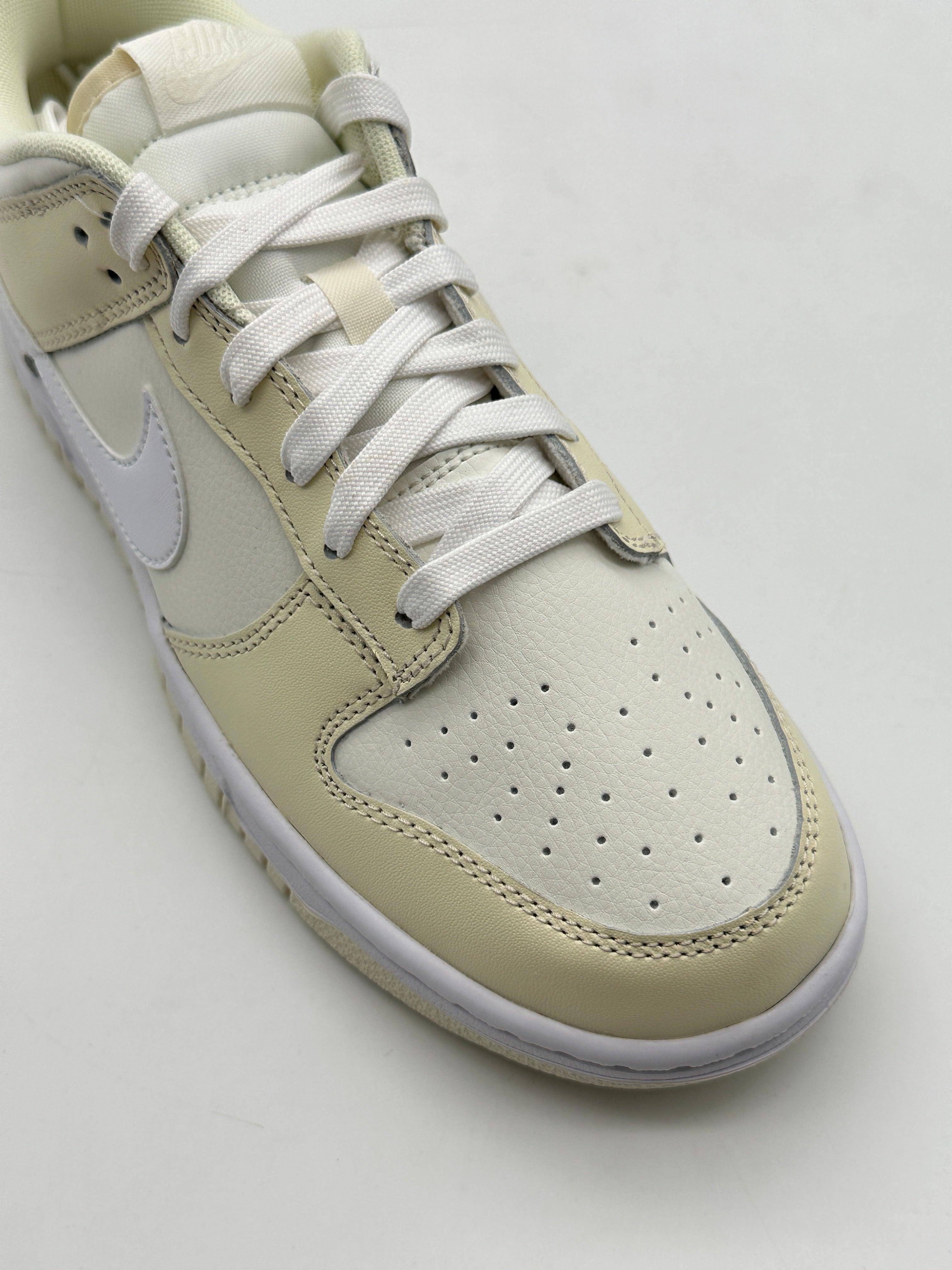 Nike Dunk Low Retro