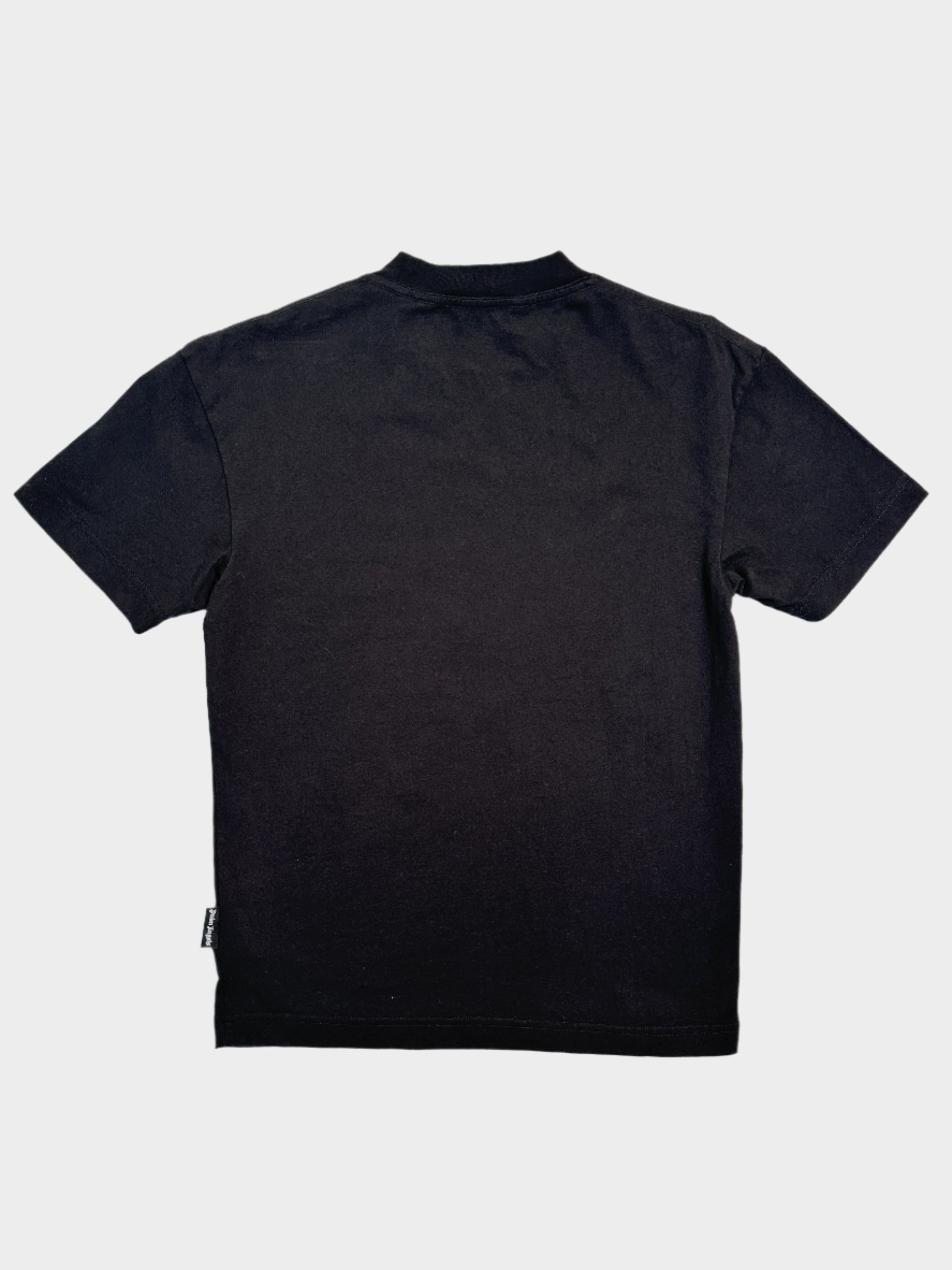 Pirate Bear T-shirt