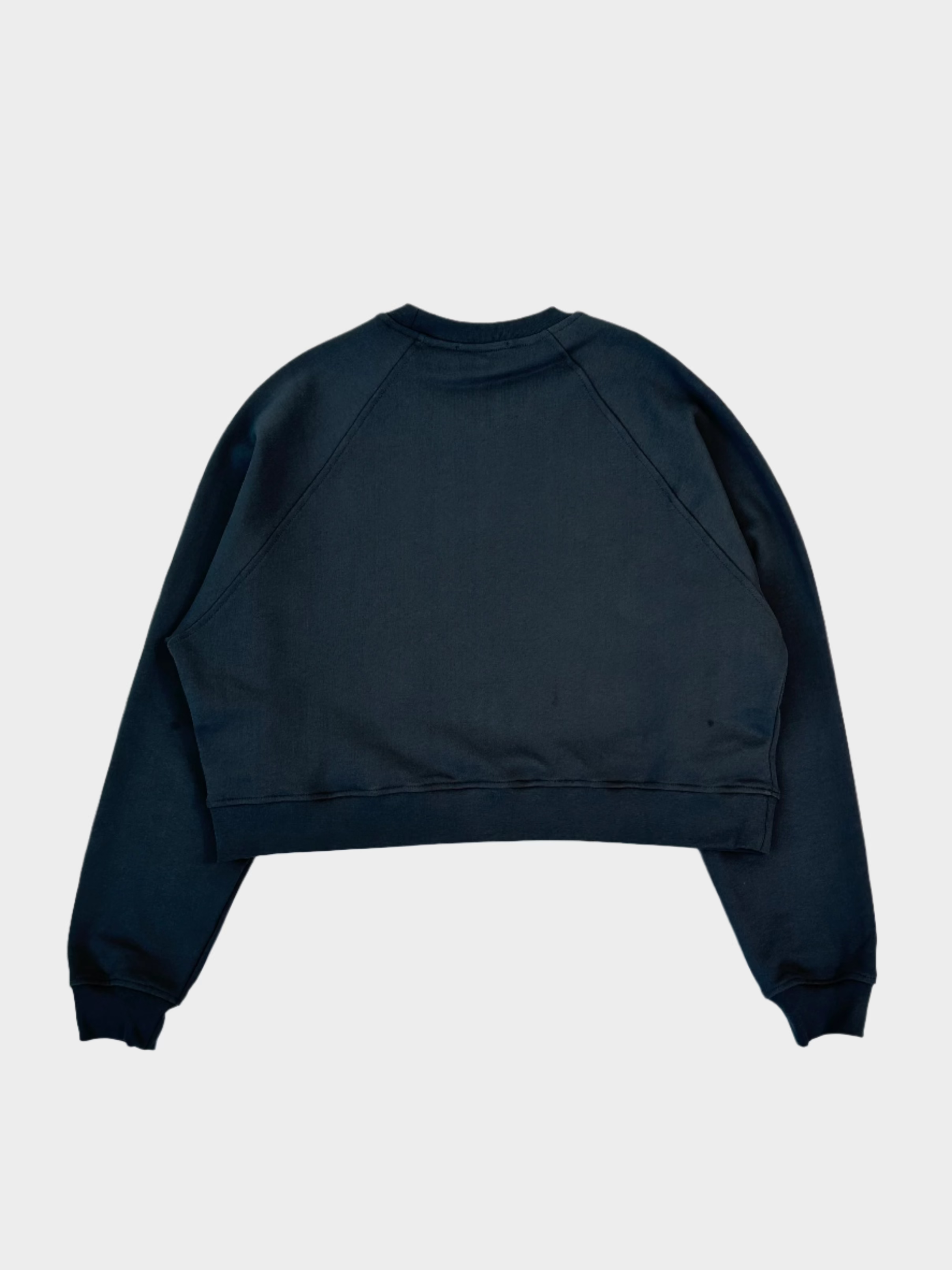 Iron Color Crewneck Crop Sweatshirt With Tone On Logo