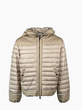 - | Qlhype