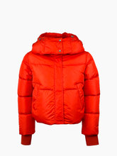 - | Qlhype