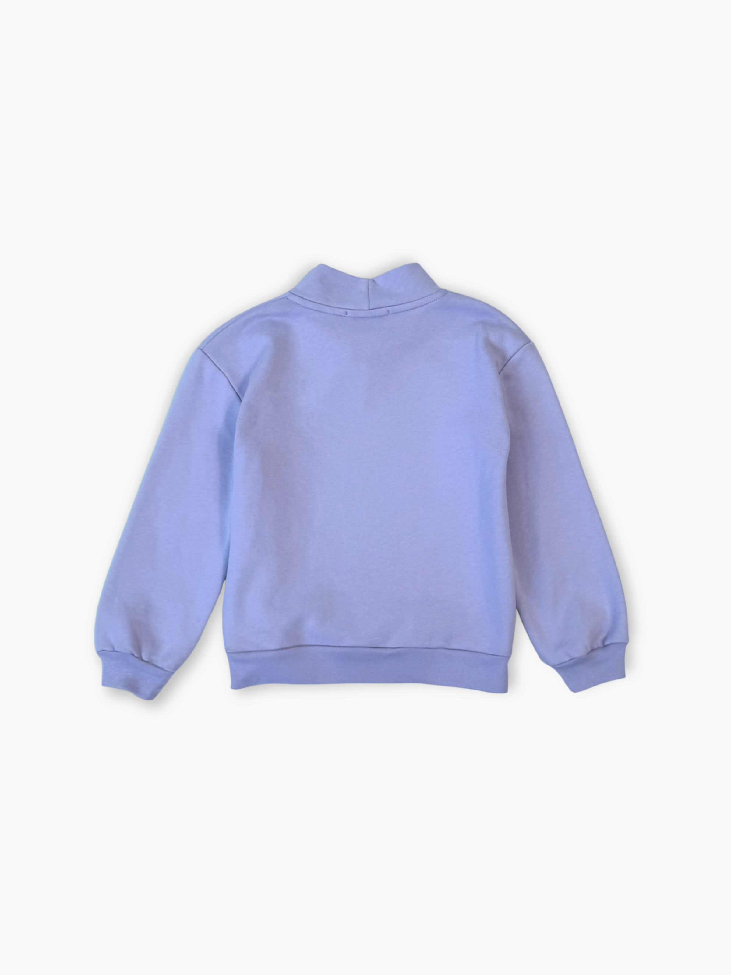 Lilac Sweatshirt With High Neck