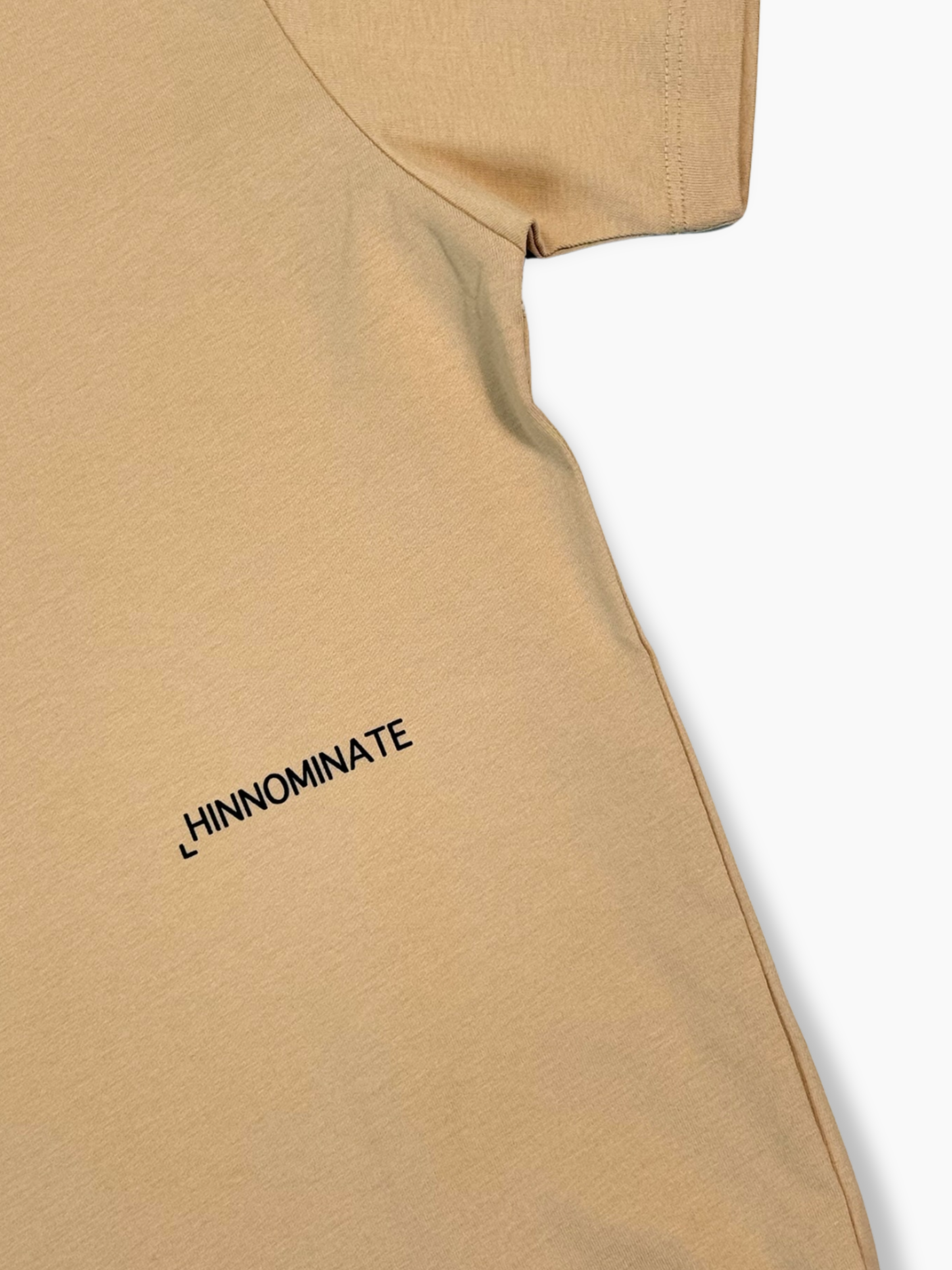T-shirt Nocciola Con Stampa In Jersey