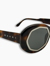 Occhiali Da Sole Elime Dark Havana - Nero | dBlank