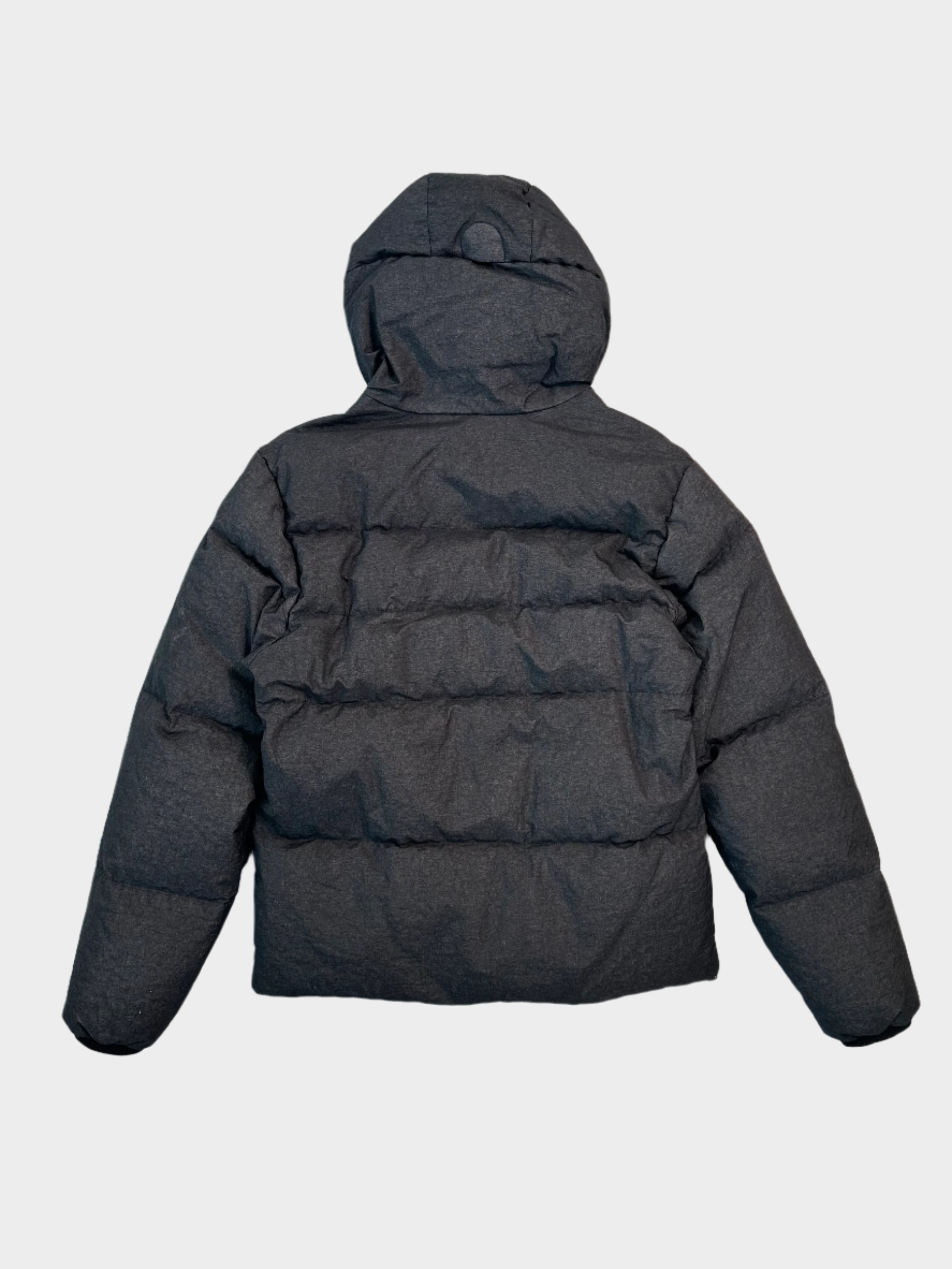 Puffy Goggle Jacket Co-TeD