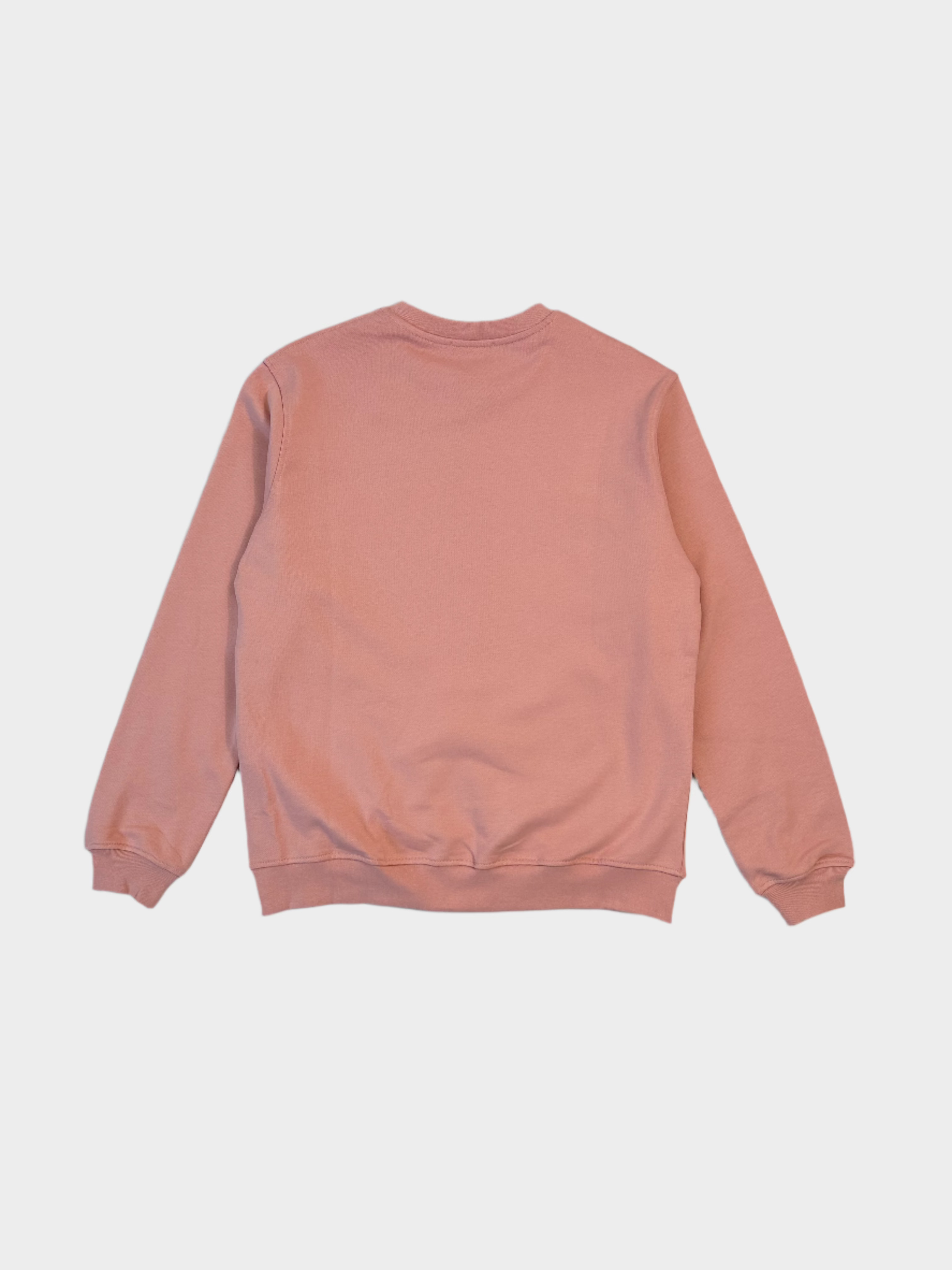 Felpa Girocollo Rosa Con Stampa Frontale
