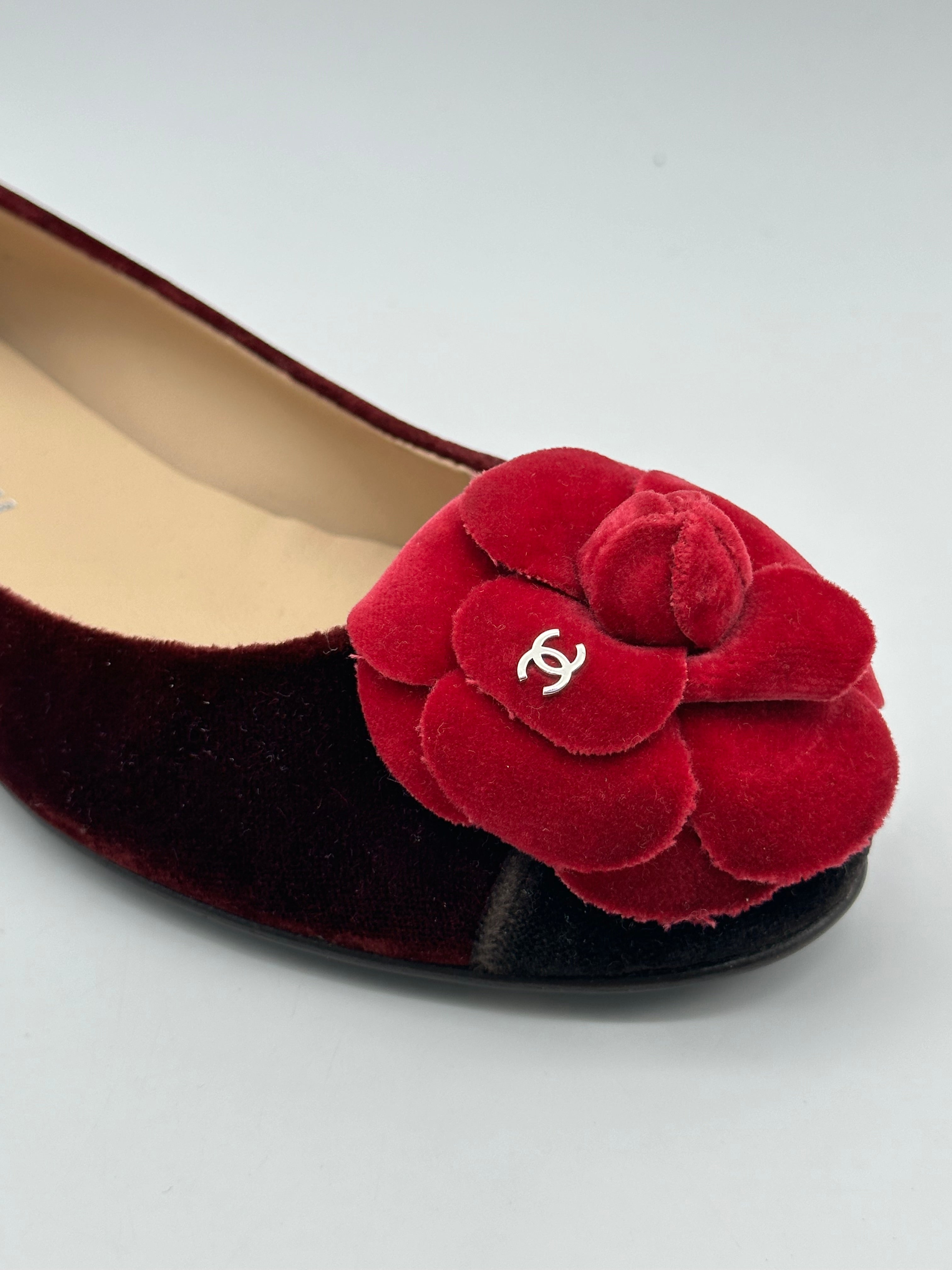 Ballerine In Velluto Bordeaux Con Fiore E Punta A Contrasto