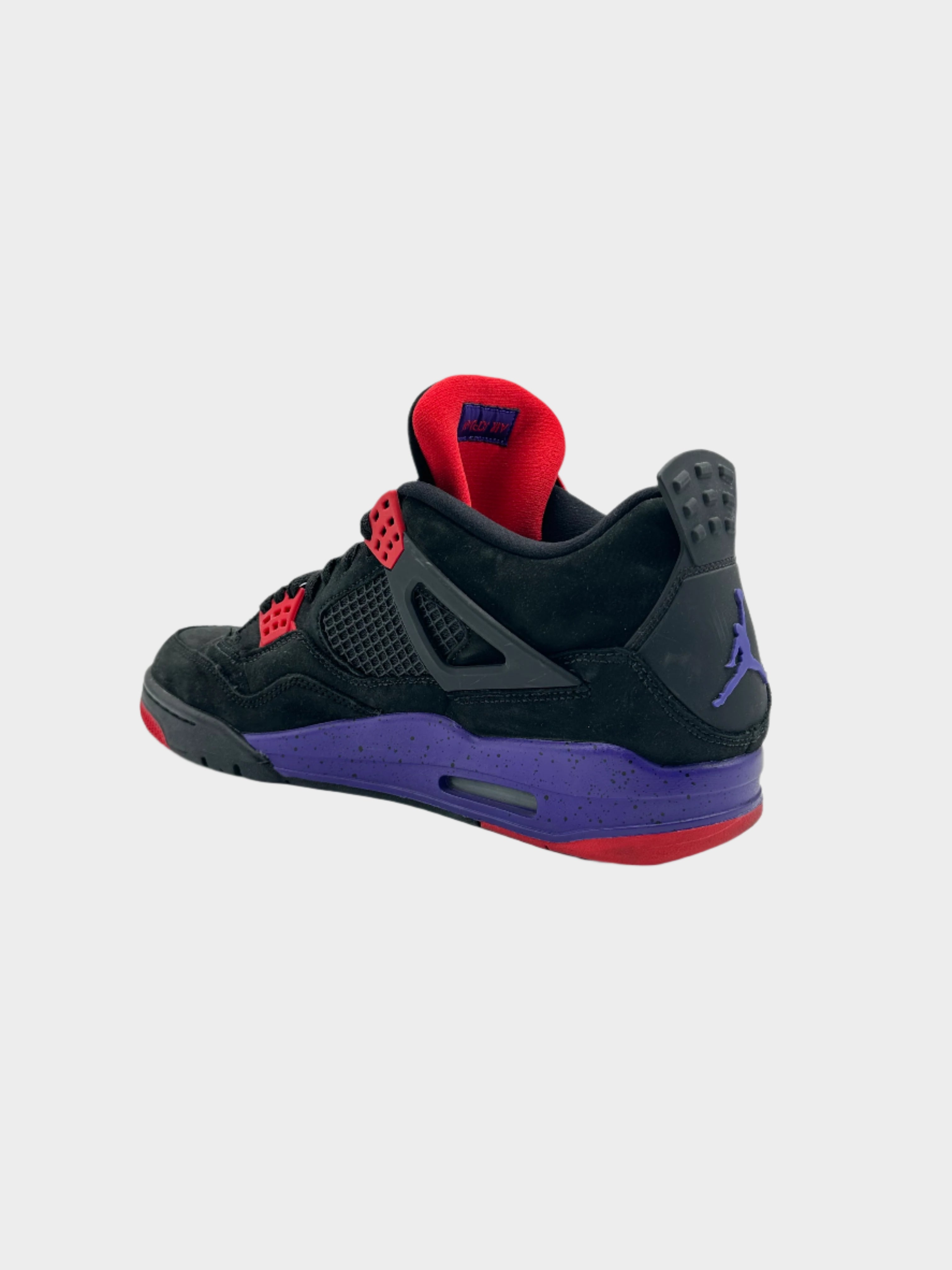 Air Jordan 4 Raptors