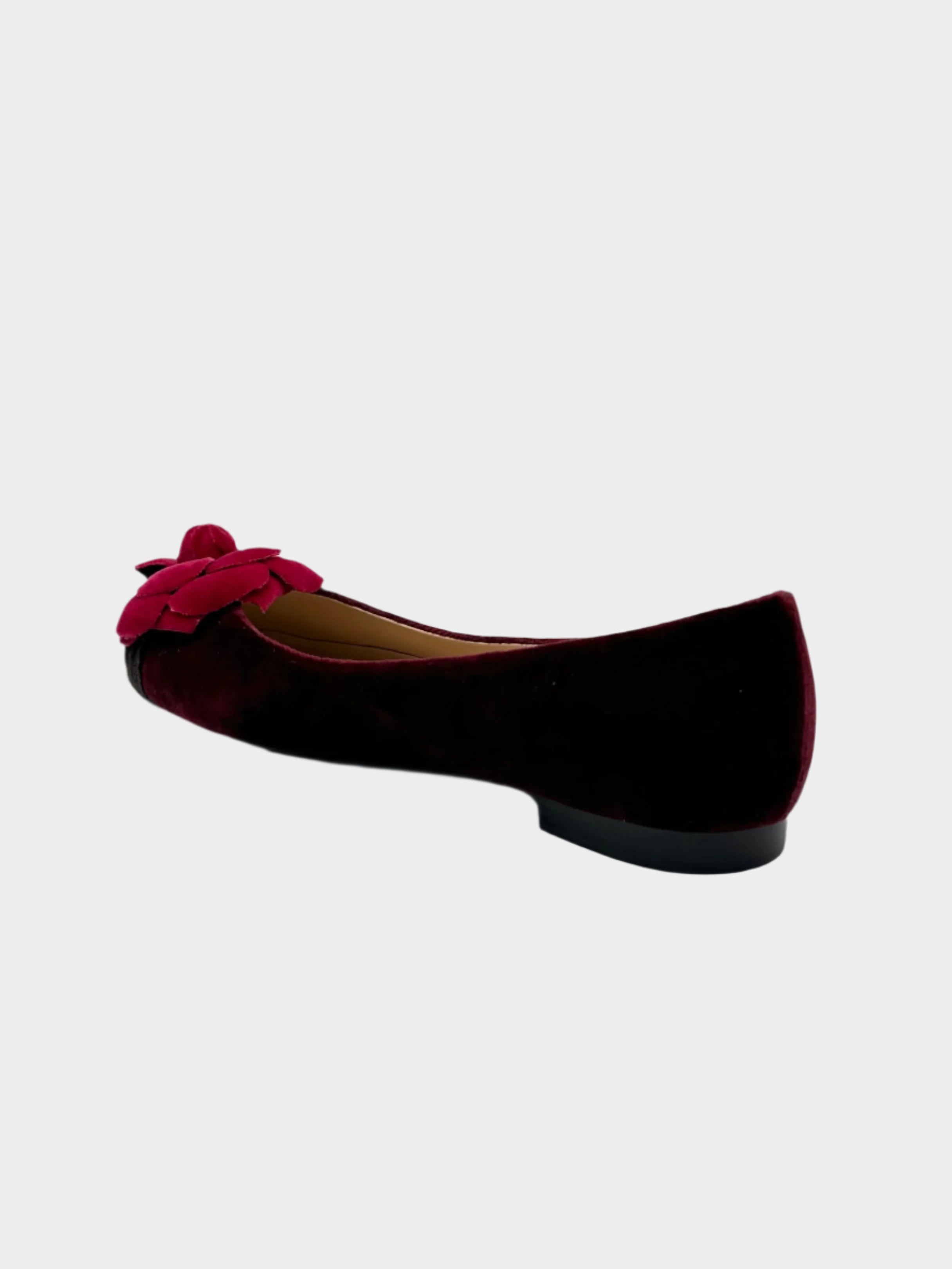 Ballerine In Velluto Bordeaux Con Fiore E Punta A Contrasto