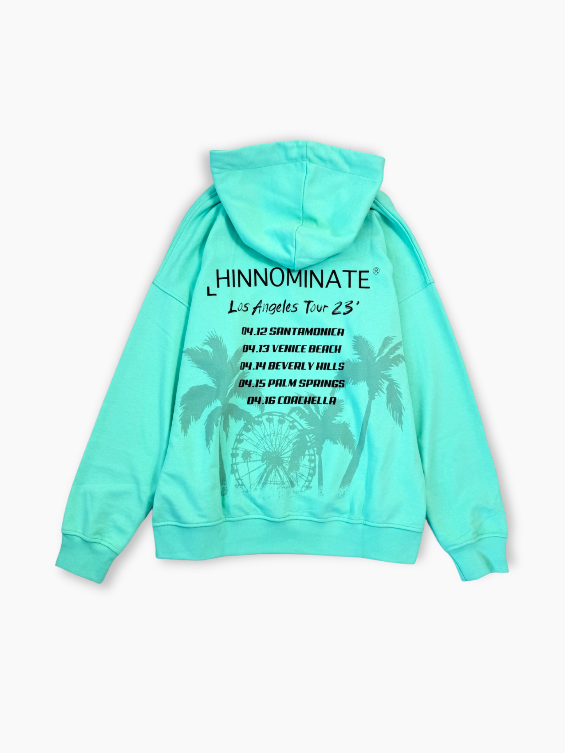 Felpa verde menta Hinnominate con cappuccio e logo frontale vista frontale