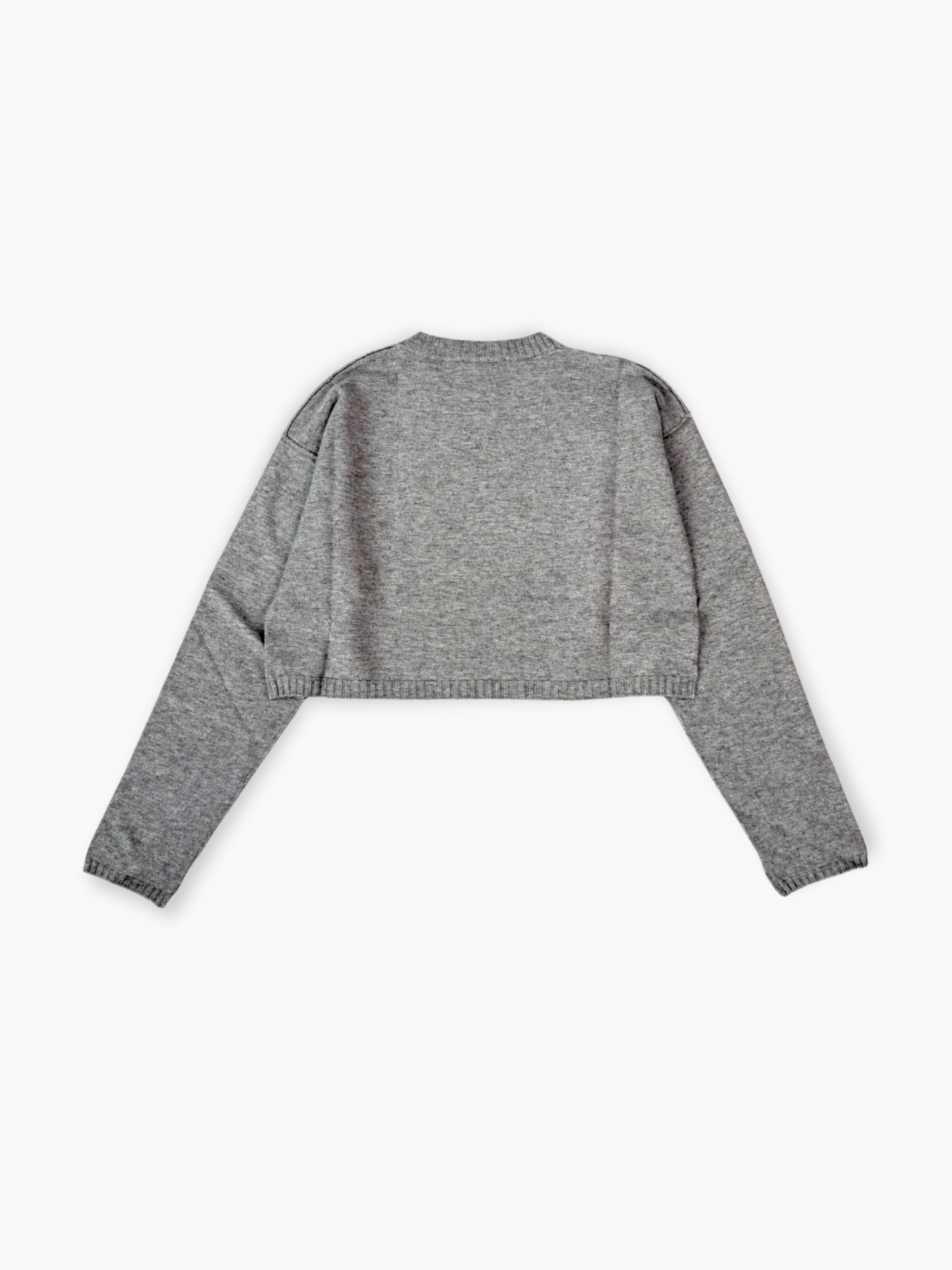 Maglia cropped grigia Hinnominate con stampa flock tono su tono vista frontale