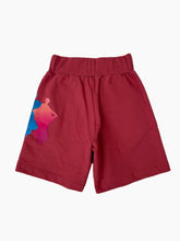 Brick Fleece Shorts With Fluorescent Muses Print -  | dBlank