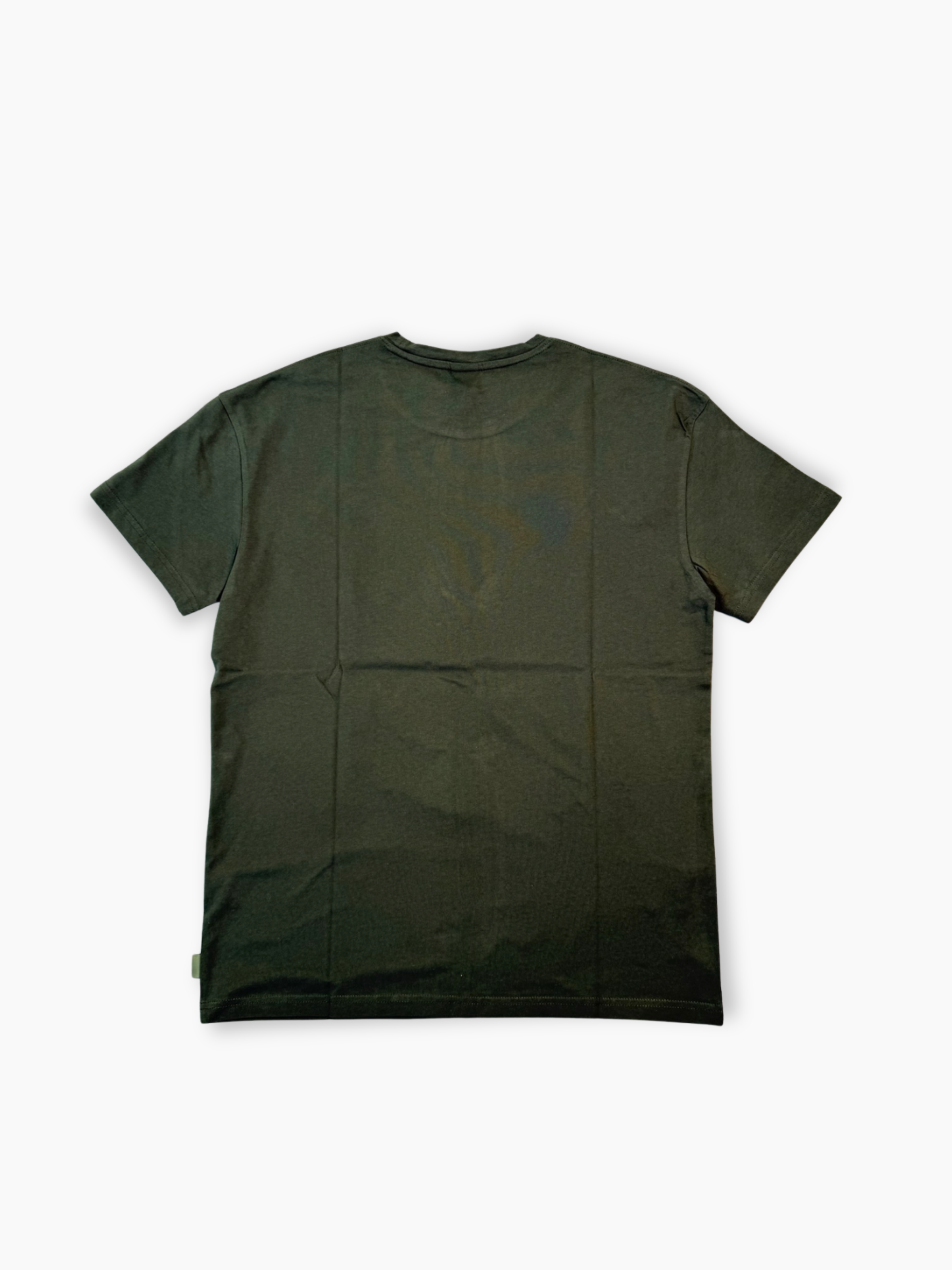 T-shirt verde in cotone 100% Aspesi vista retro