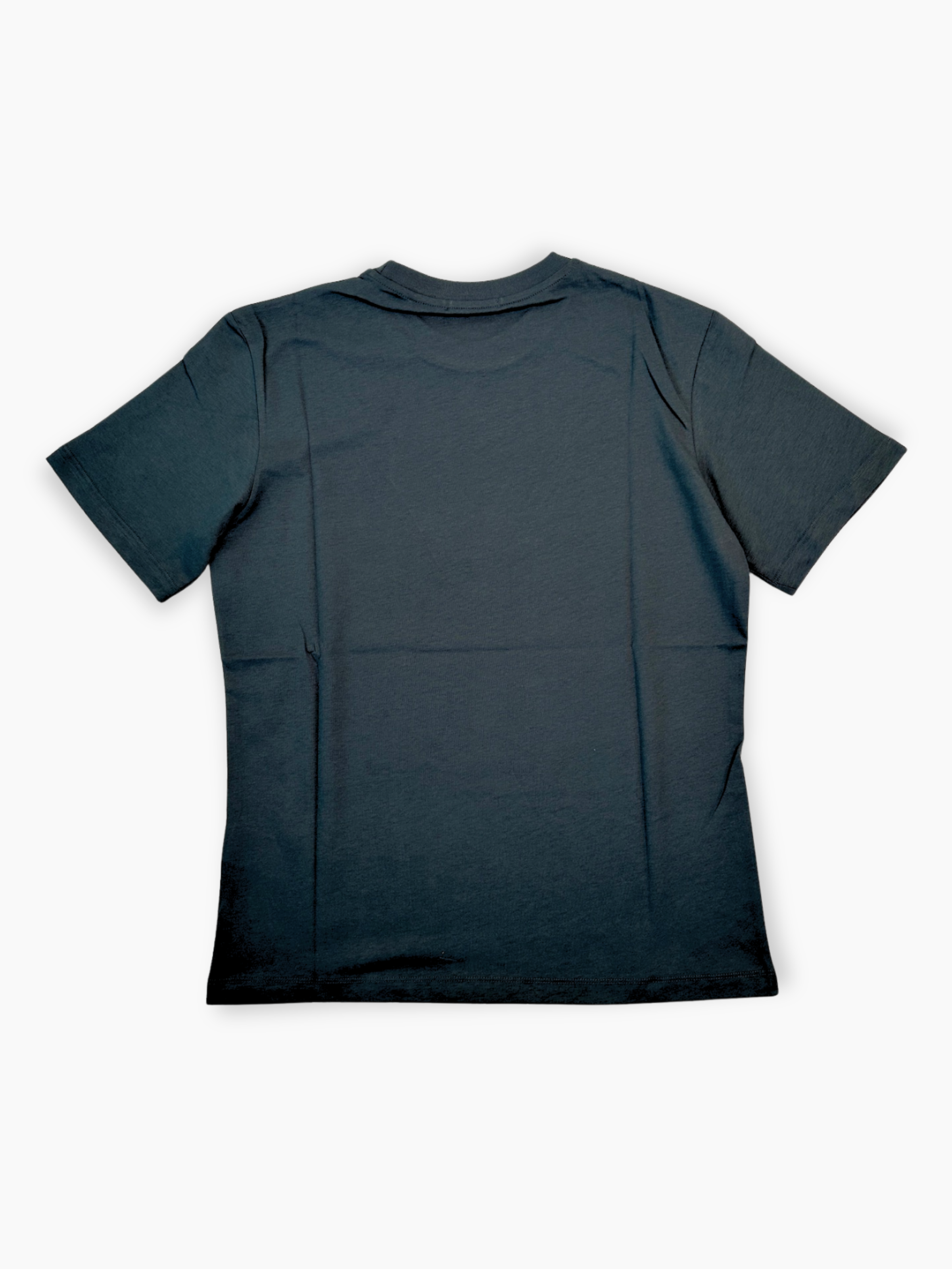 T-shirt cropped grigia Hinnominate con stampa frontale