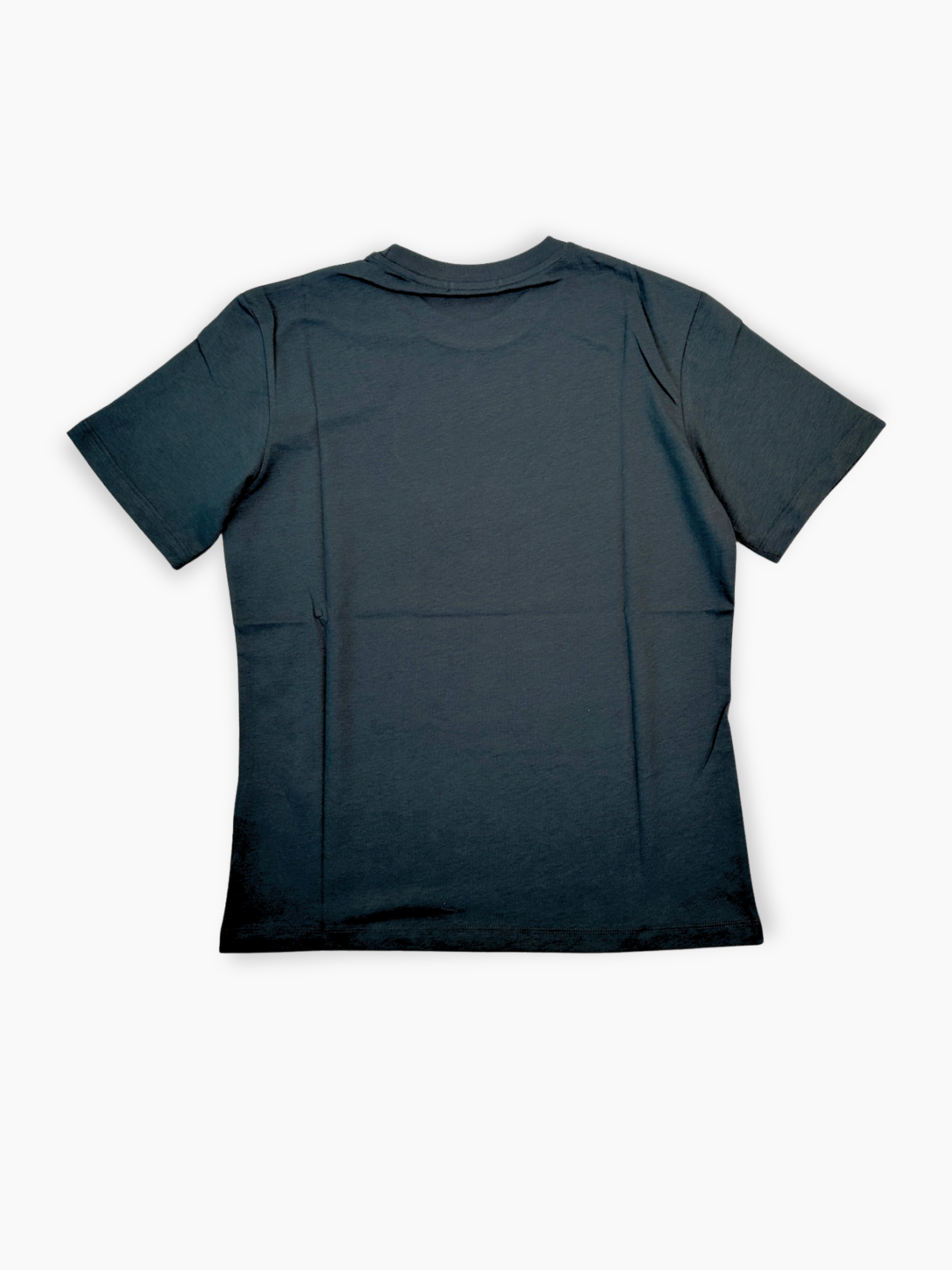 T-shirt grigia Hinnominate con stampa grande sul davanti