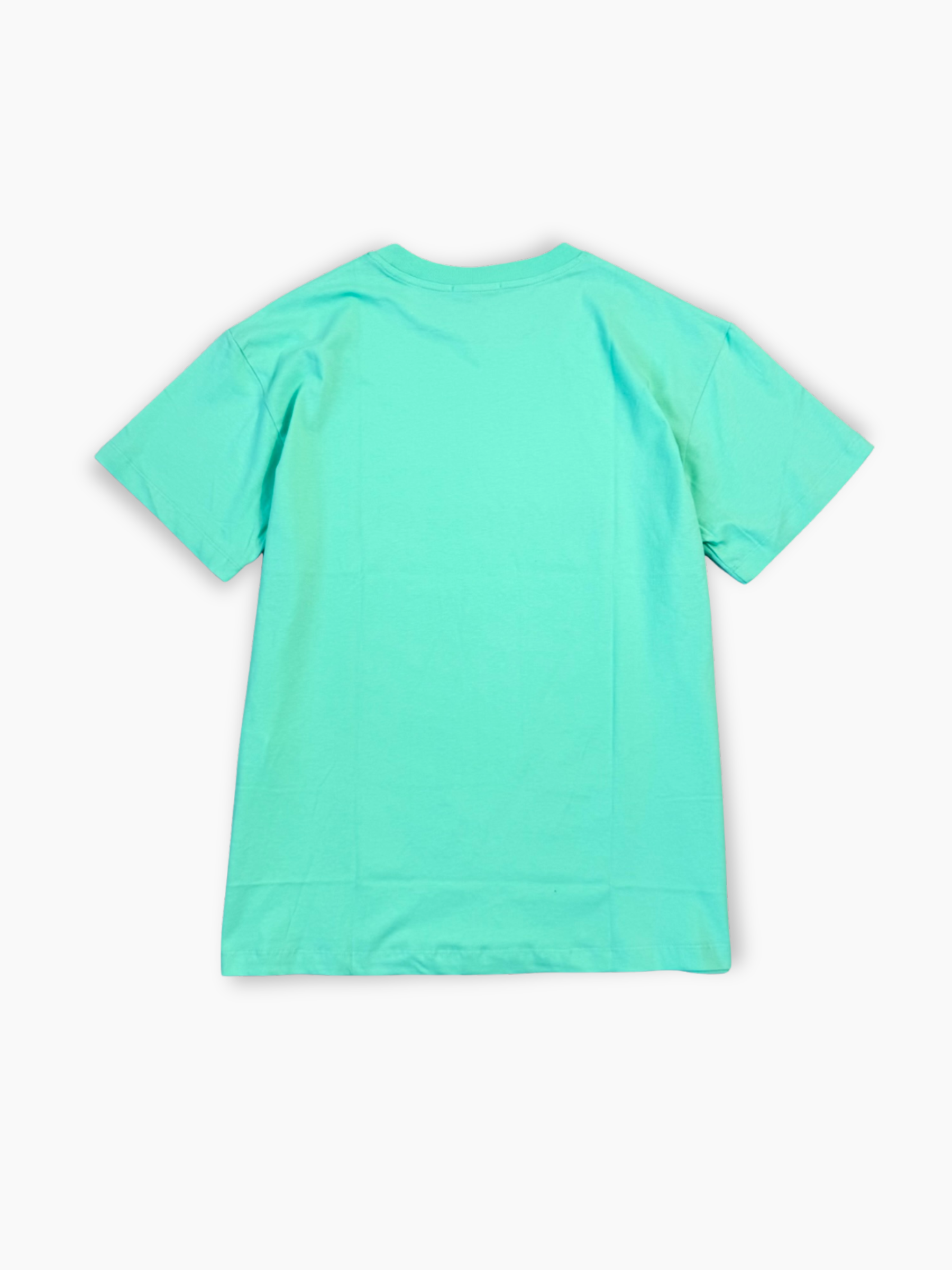 T-shirt verde menta Hinnominate in jersey di cotone con logo nero frontale